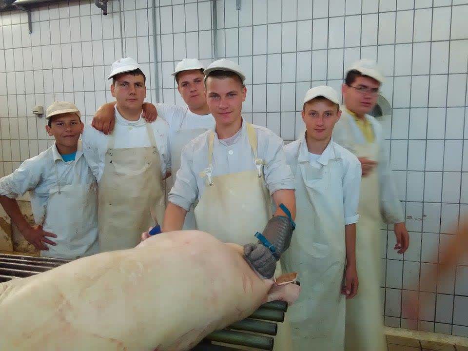 Месар 1